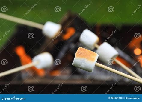 Delicious Puffy Marshmallows Roasting Over Bonfire Closeup Space For