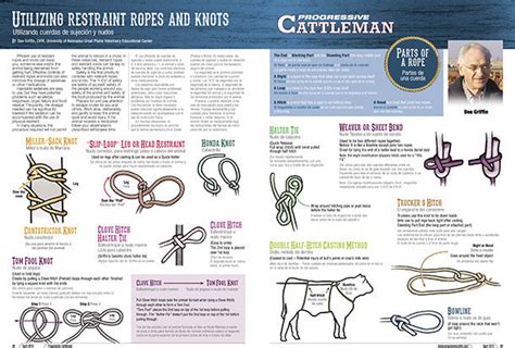 Utilizing Restraint Ropes And Knots Progressive Cattle Ag Proud