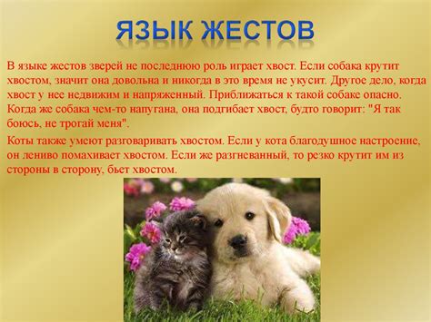 Язык животных - презентация онлайн