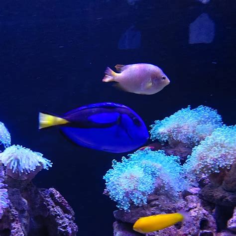 amlnzusc jexkytgzztuozkzxzzmmovterwdgs   cxffffff  rj