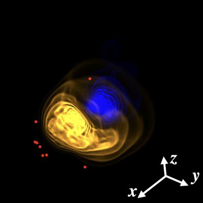 Wayne State Nuclear Theory Group Develops Ultrasonographic Probes For