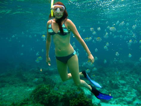 Snorkel Scuba And Free Diving Vol1 S Unwtr 0003j Porn Pic