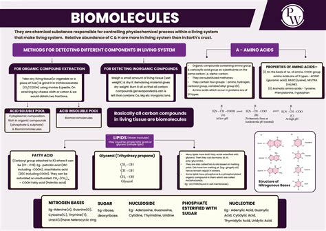 Solution Biomolecules Mind Maps Yakeen Neet Studypool