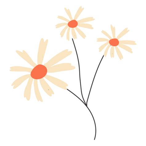 Dise O Png Y Svg De Flores Blancas Planas Para Camisetas