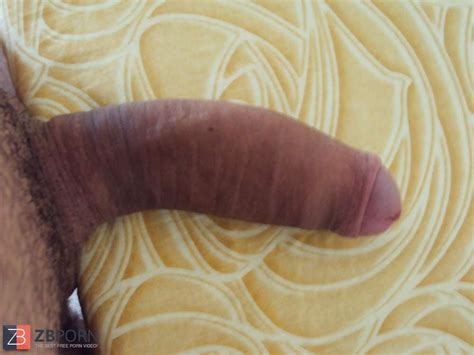 Ancora Il Mio Cazzo ZB Porn