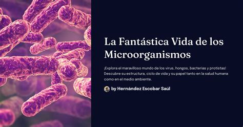 La Fantástica Vida De Los Microorganismos