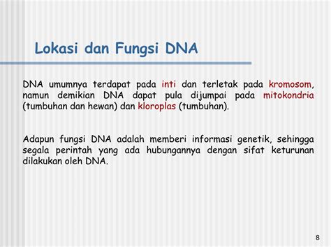 Dna Dan Rna Definisi Struktur Fungsi Dan Perbedaan —