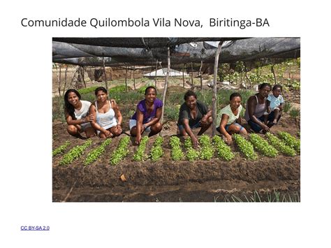 Como Vivem As Pessoas Nos Remanescentes De Quilombos - O cotidiano das comunidades remanescentes de quilombos - Planos de aula ...