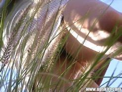 Sneaky Panties Spy Upskirts Outdoors In Sunny Field Porn Pictures XXX Photos Sex Images