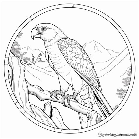 Scarlet Macaw Coloring Pages Free And Printable