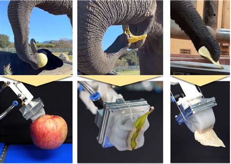 World's First Gripper Comes With High Precision