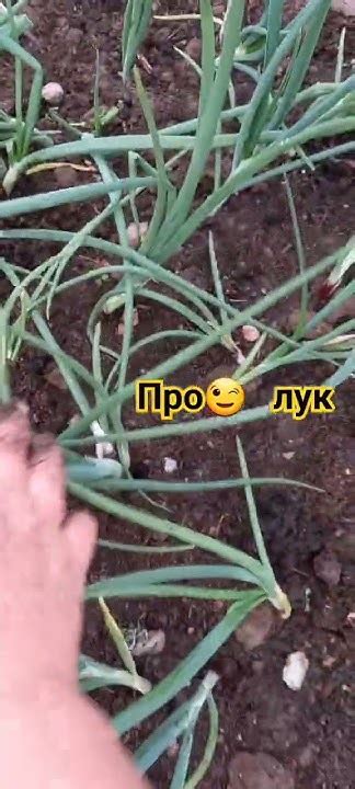 эксибишен готов.. - YouTube