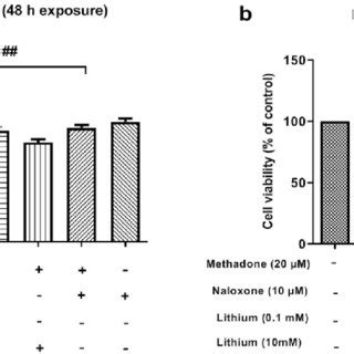 Cell Viability Of Huvecs Treated With Morphine Methadone Lithium And