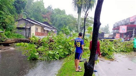 Pohon Tumbang Di Padang Besi Arus Lalu Lintas Padang Solok Putus Total