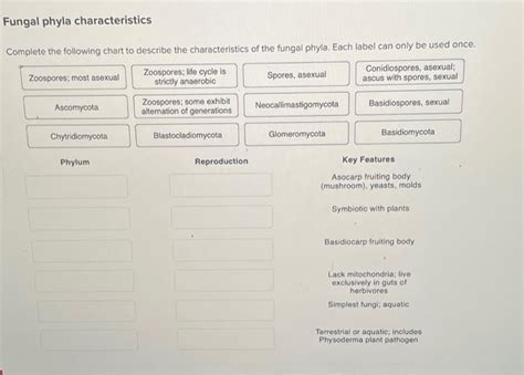 Solved Fungal phyla characteristics Complete the following | Chegg.com