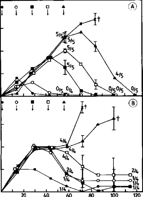 Reconstitution Of Infected Nude Mice With Normal Mouse T Cells At
