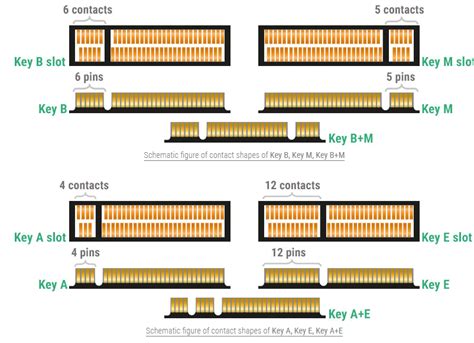Tout savoir sur le M.2 : un connecteur, trois sockets, des dizaines de ...
