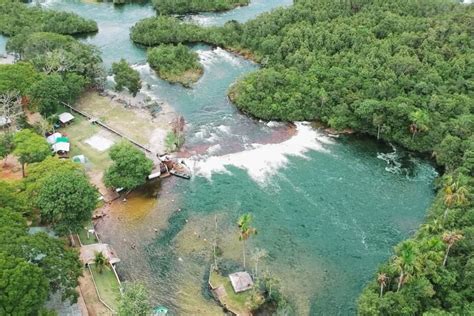 Mato Grosso Geo E Ale