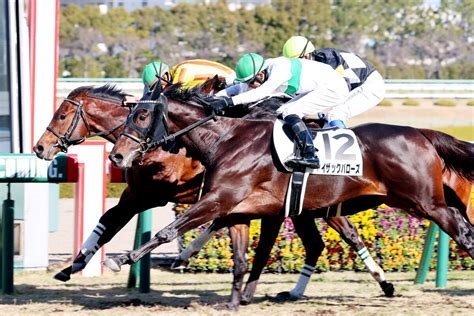 岩田望来騎手が自身初jra年間100勝デビュー4年目は史上2位タイ「感謝しかありません」 Umatoku 馬トク