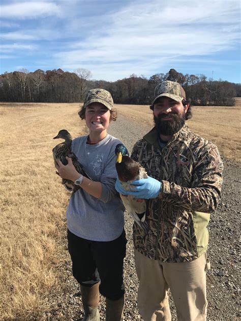 Tennessee Tech... - Tennessee Wildlife Resources Agency