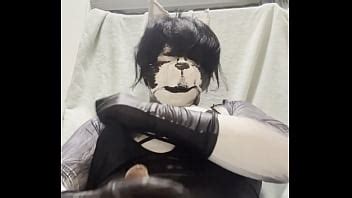 太ったハスキー犬の手コキ XVIDEOS