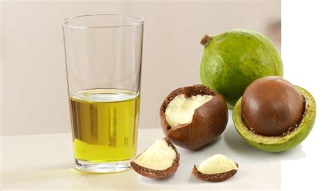 Macadamia Oil for Hair How to Use [Step By Step] : Hairy Jimbo