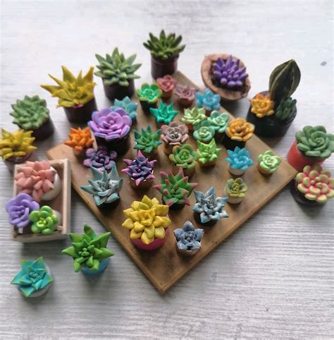 Мини растения и цветы - купить в интернет-магазине по выгодным ценам с ...