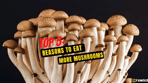 Top 5 Reasons To Eat More Mushrooms In 2024