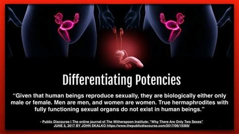 ARE THERE ONLY TWO SEXES Ambiguous Genitalia Intersexed Hermaphrodites Disorder Of Sex