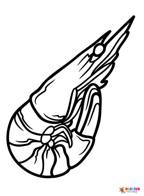 Shrimp For Kids Coloring Page Free Printable Coloring Pages