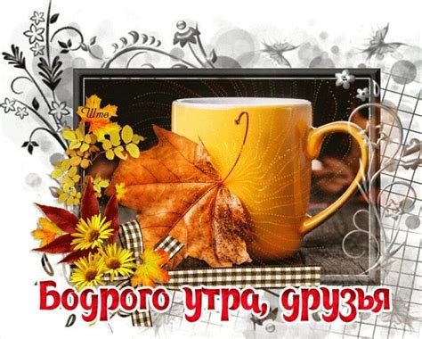 Чудесные картинки Drasler