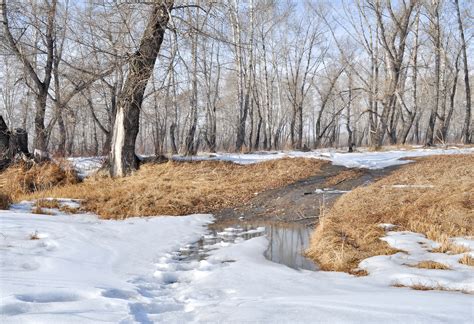 Landscape With Snow Free Stock Photo - Public Domain Pictures