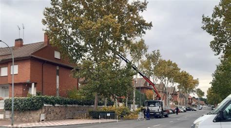 Campa A De Poda Ayuntamiento De Velilla De San Antonio