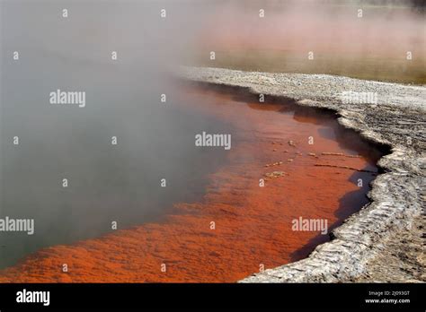 Champagne Pool Wai-O-Tapu, North Island, New Zealand Stock Photo - Alamy