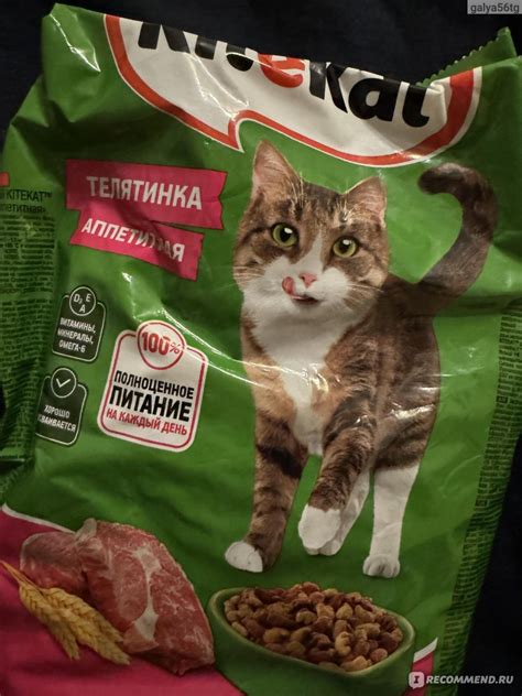 Корм для кошек Kitekat Сухой Телятина аппетитная - «Корм по цене ...