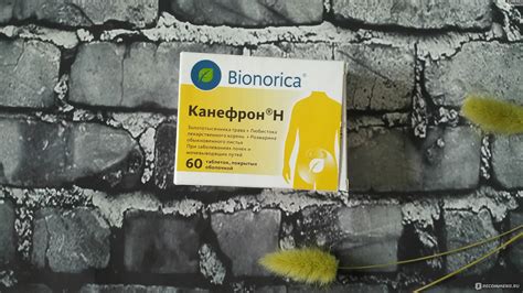 Растительный лекарственный препарат Bionorica КАНЕФРОН Н в таблетках ...