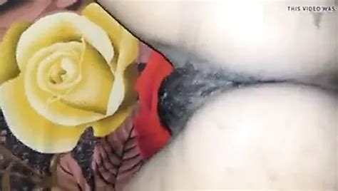 Free Sex Porn Videos 4275 XHamster