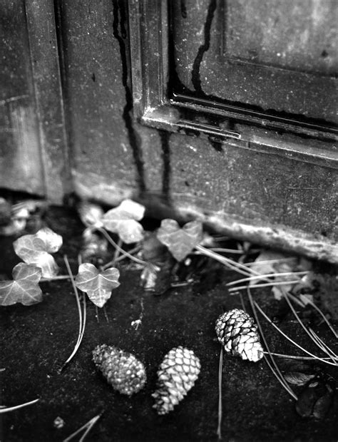 Visitor Information and Services for Lake View Cemetery 1