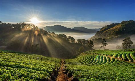 darjeeling  xplore india tourism