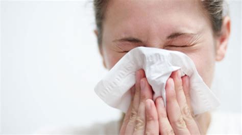 ah choo takes  mysteries   common cold npr