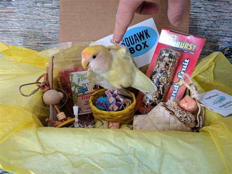 Squawk Box Subscription Box Review - April 2017 - Hello Subscription