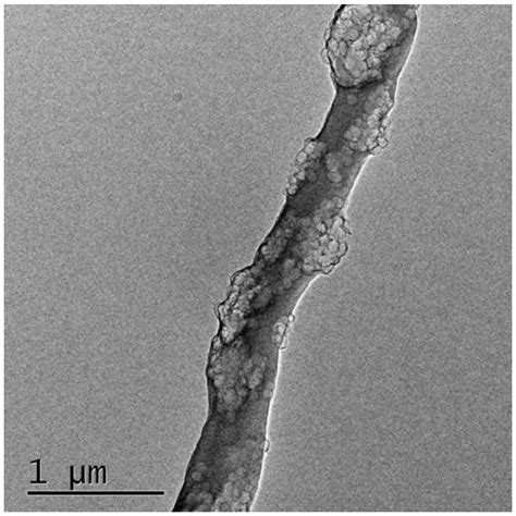 一种柔性多孔碳纳米纤维膜电极及其制备方法和应用