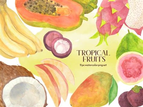 Watercolor Tropical Fruit Clipart Set Graphic By Roselocket Creative