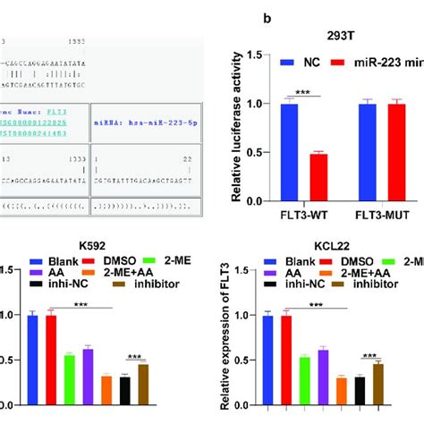 Mir Targets Flt A Binding Site Of Mir And Flt Predicted