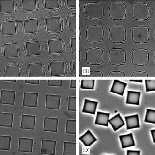 SEM Images Of PDMS Stamps With A Round Cornered Square And B