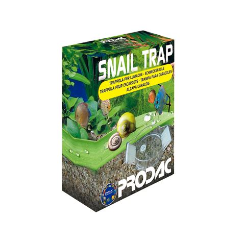 Snail Trap Aquarium Center Trento