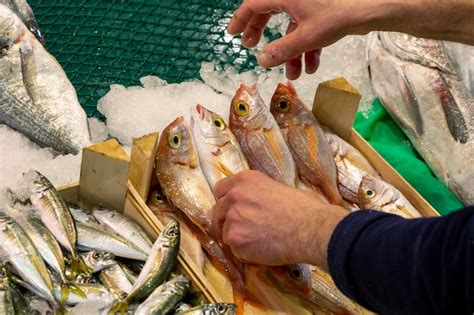 Pescado Fresco En El Hielo En El Mercadoxa Foto Premium