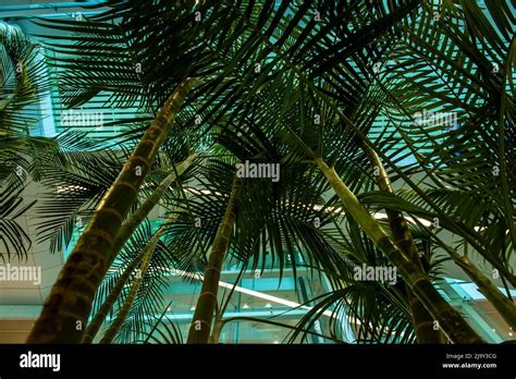 The Beautifuk Flowers And Trees In The Garden Stock Photo Alamy