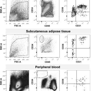 flow cytometry representative facs plots  shown   analysis