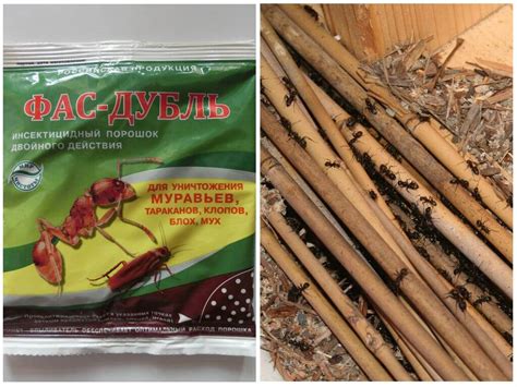 Порошок от муравьев фас дубль инструкция по применению - Все инструкции ...